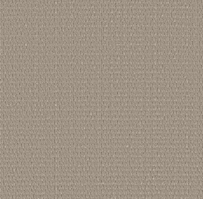 Shaw Floors PET PERFECT PLUS Cozy Embrace Warm Taupe 00505_5E881