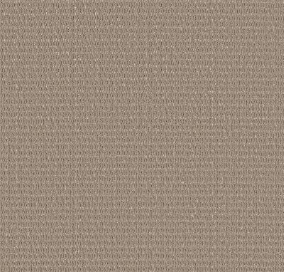 Shaw Floors PET PERFECT PLUS Cozy Embrace Rattan 00704_5E881