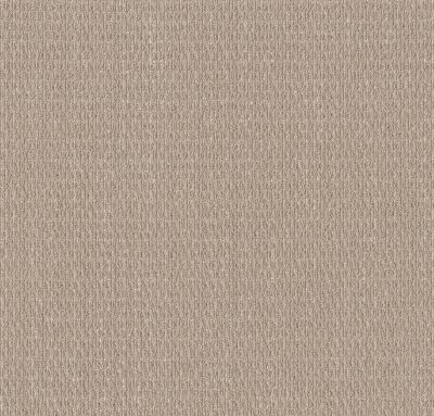 Shaw Floors PET PERFECT PLUS Cozy Embrace Natural Sisal 00705_5E881