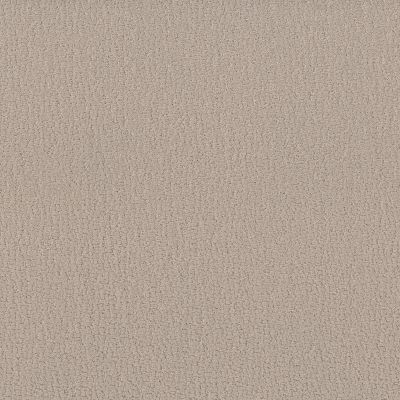 Shaw Floors Studio Set Twine 00100_5E869