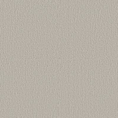 Shaw Floors Studio Set Forest Fog 00107_5E869