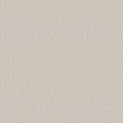 Shaw Floors Studio Set Scotch Mist 00109_5E869
