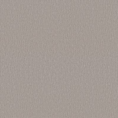 Shaw Floors Studio Set Sandstone 00115_5E869