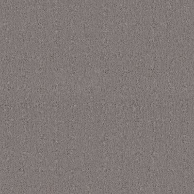 Shaw Floors Studio Set Fallen Acorn 00501_5E869