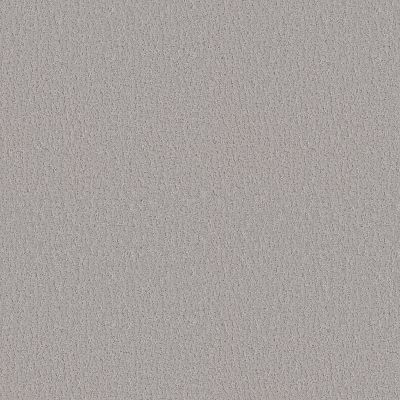 Shaw Floors Studio Set Sterling 00556_5E869