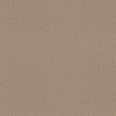 Shaw Floors Studio Set Worn Path 00700_5E869