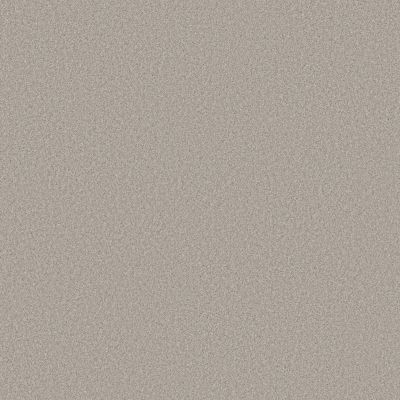 Shaw Floors Believe Antiquity 00132_5E893