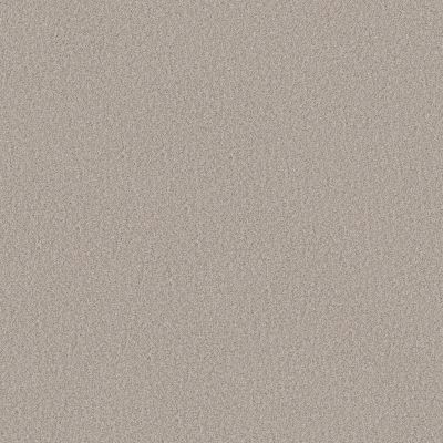 Shaw Floors Believe Silence 00137_5E893