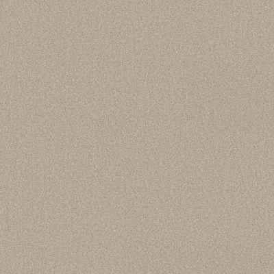 Shaw Floors Believe Outer Banks 00230_5E893