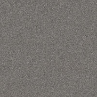 Shaw Floors Believe Cool Wind 00530_5E893