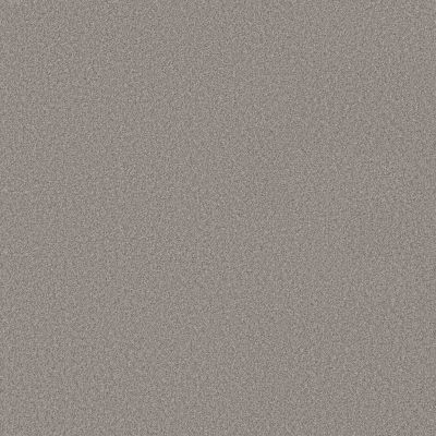 Shaw Floors Believe Greige 00730_5E893