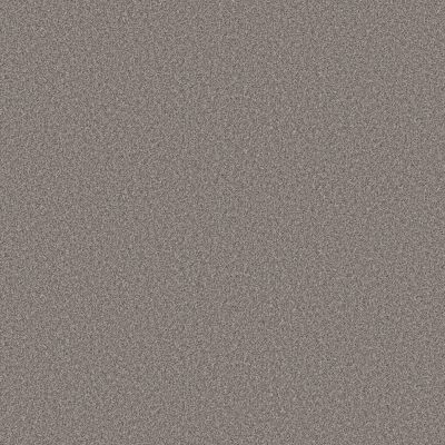 Shaw Floors Believe Pier 00731_5E893