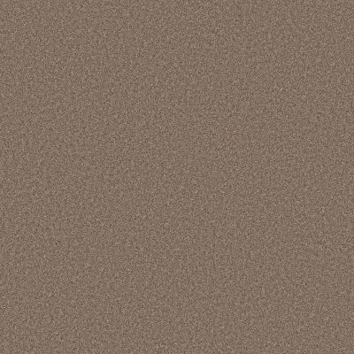 Shaw Floors Believe Slate 00732_5E893