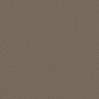 Shaw Floors Believe Smoked Tan 00733_5E893