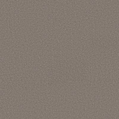 Shaw Floors Believe Creek Bed 00735_5E893