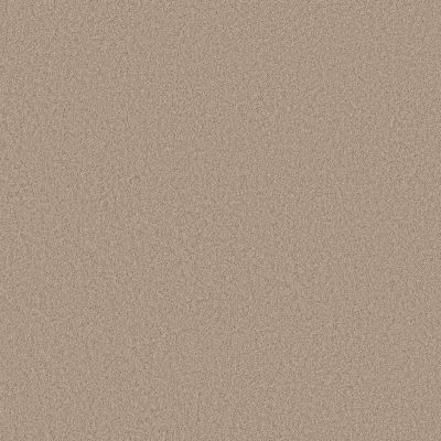 Shaw Floors SIMPLY THE BEST Pure Affection S Loft 00103_5E889