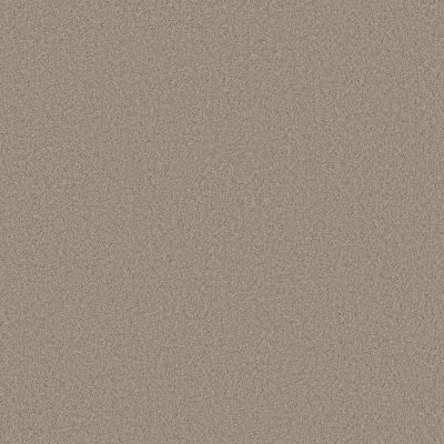 Shaw Floors SIMPLY THE BEST Pure Affection S On The Edge 00104_5E889