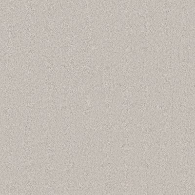 Shaw Floors SIMPLY THE BEST Pure Affection S Light Year 00500_5E889