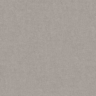 Shaw Floors SIMPLY THE BEST Pure Affection S Chain Reaction 00501_5E889