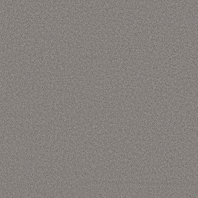 Shaw Floors SIMPLY THE BEST Pure Affection S Winter 00502_5E889