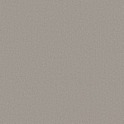Shaw Floors SIMPLY THE BEST Pure Affection S Still Gray 00503_5E889