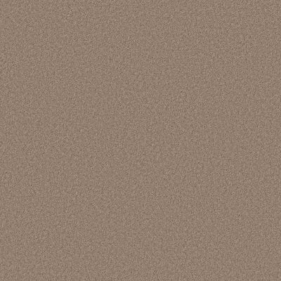 Shaw Floors SIMPLY THE BEST Pure Affection S Sierra 00700_5E889