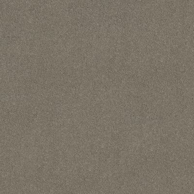 Shaw Floors SIMPLY THE BEST Pure Affection S Pier 00702_5E889