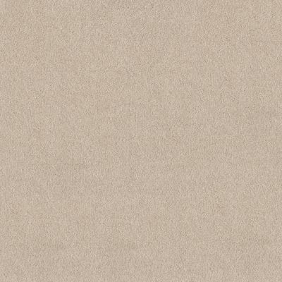 Shaw Floors Pure Affection T Dune View 00120_5E892