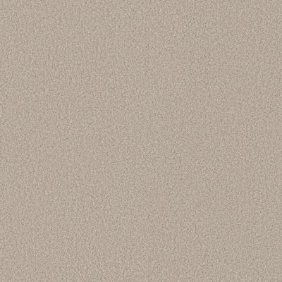 Shaw Floors Pure Affection T Beige Mist 00121_5E892