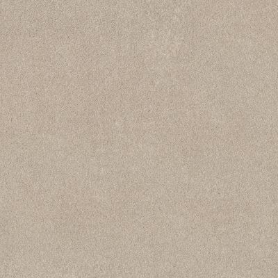 Shaw Floors Pure Affection T Cafe Latte 00122_5E892