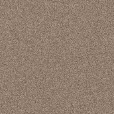 Shaw Floors Pure Affection T Stonecrest 00123_5E892