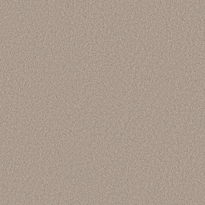 Shaw Floors Pure Affection T Chic Taupe 00124_5E892