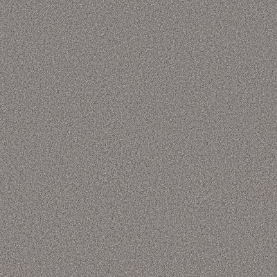 Shaw Floors Pure Affection T Graphic 00522_5E892
