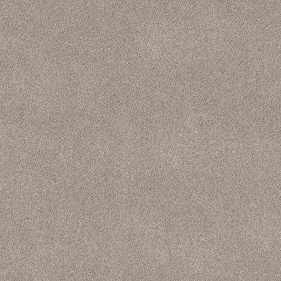 Shaw Floors Pure Affection T Marble 00523_5E892