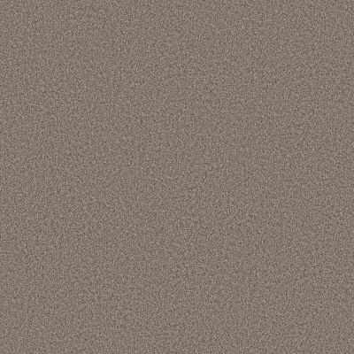 Shaw Floors Pure Affection T Shadows 00524_5E892