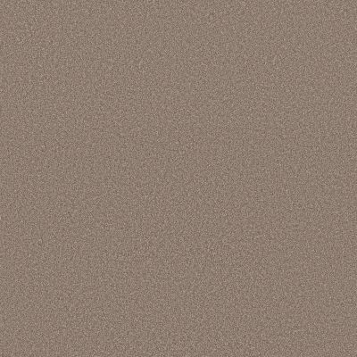 Shaw Floors Pure Affection T Mocha 00721_5E892