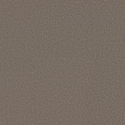 Shaw Floors Pure Affection T Hideaway 00722_5E892