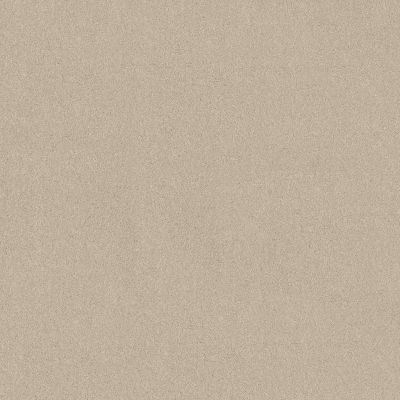 Shaw Floors SFA New Memories T Dune View 00120_EA100