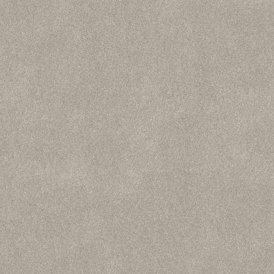 Shaw Floors SFA New Memories T Beige Mist 00121_EA100