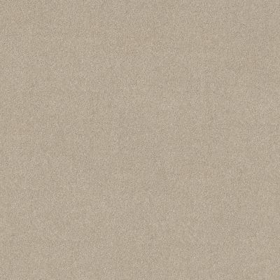 Shaw Floors SFA New Memories T Cafe Latte 00122_EA100