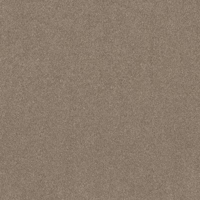 Shaw Floors SFA New Memories T Stonecrest 00123_EA100