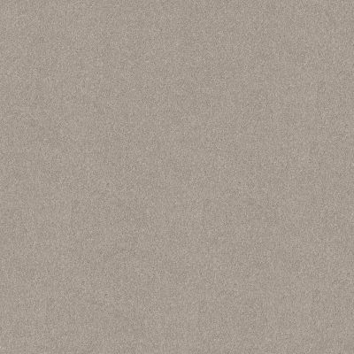 Shaw Floors SFA New Memories T Chic Taupe 00124_EA100
