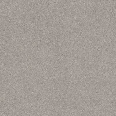 Shaw Floors SFA New Memories T Four Winds 00520_EA100