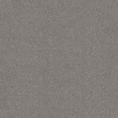 Shaw Floors SFA New Memories T Graphic 00522_EA100