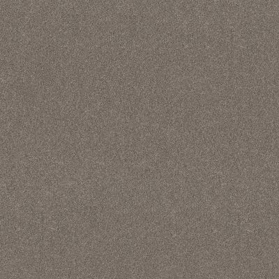 Shaw Floors SFA New Memories T Shadows 00524_EA100