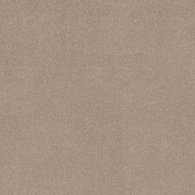 Shaw Floors SFA New Memories T Baja 00720_EA100