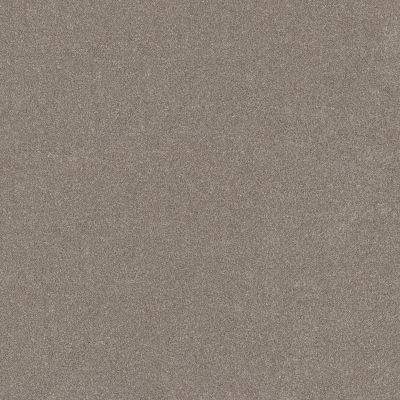 Shaw Floors SFA New Memories T Mocha 00721_EA100