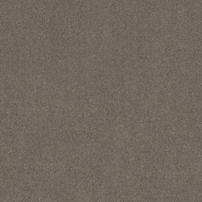 Shaw Floors SFA New Memories T Hideaway 00722_EA100