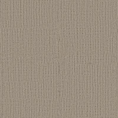 Shaw Floors Sfn Sweet Memories Natural Sisal 00705_EA098