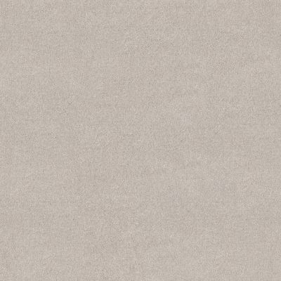 Shaw Floors PET PERFECT PLUS Blended Touch I Crystals 00131_5E885